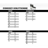 Bauer Schlittschuh X-LS - Sr.